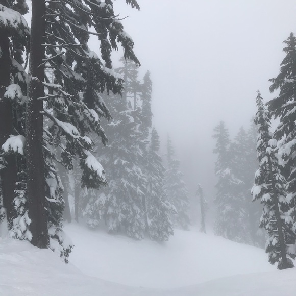 Meet your Posher, Kohl - Picture 1 of 1